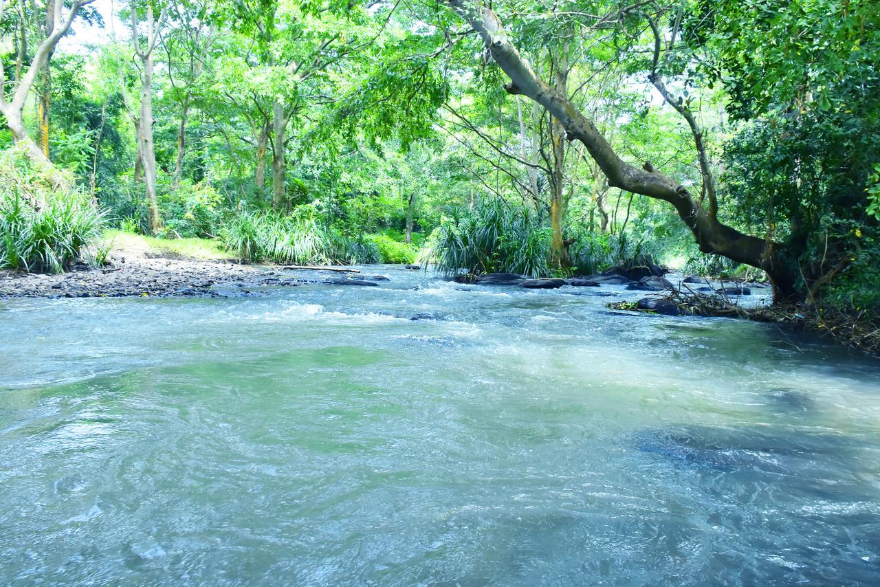 Silent River Cottage Udawalawe Bagian luar foto